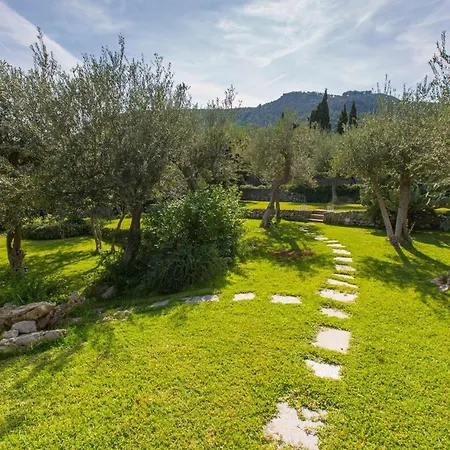 Nyaraló Luxury Central With Pool And Privacy